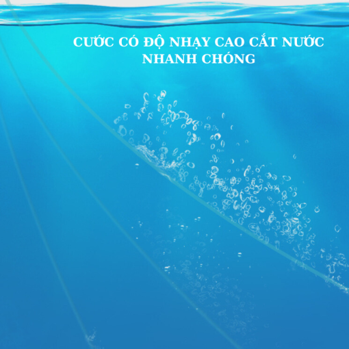 TRỤC CÂU ĐÀI TÀNG HÌNH SPHOE - Hình ảnh 2