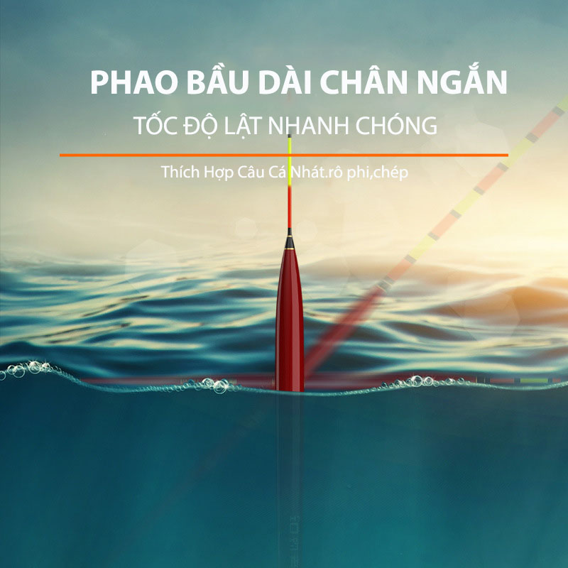 Phao Câu Đài Đậu Đỏ Câu Cá Nhát - Ảnh 5