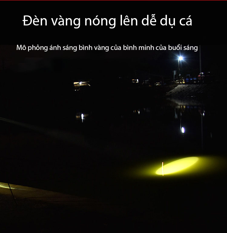 Bộ Đèn Soi Phao Câu Đêm - Ảnh 5